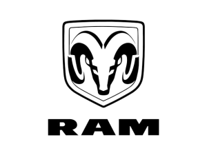 ram-black9664-removebg-preview